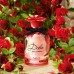 Dolce&Gabbana Dolce Rose оригинал