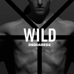 Dsquared2 Wild